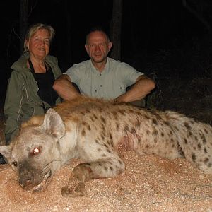 Spotted Hyena Hunt