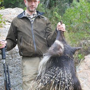 Porcupine Hunting