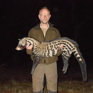 Hunting African Civet