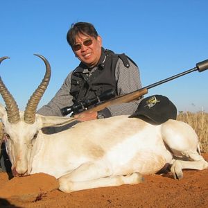 White Springbok Hunting