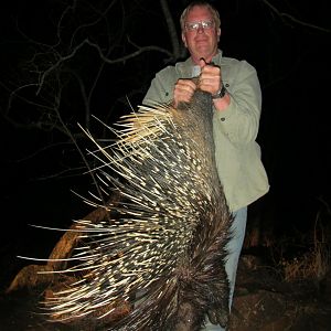 Hunt Porcupine