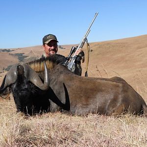 Hunt Black Wildebeest