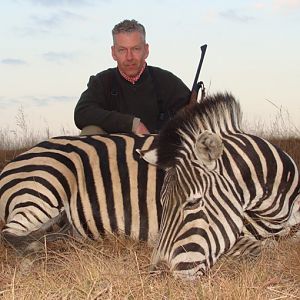 Hunt Zebra