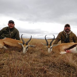 Springbok Hunting