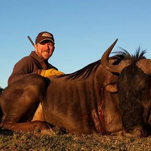 Hunt Black Wildebeest