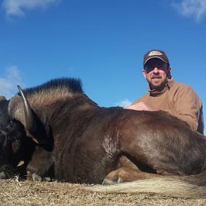 Hunt Black Wildebeest