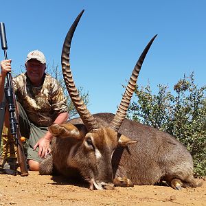 Waterbuck South Africa Hunt