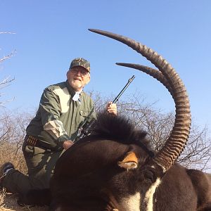 Sable Antelope Hunt South Africa