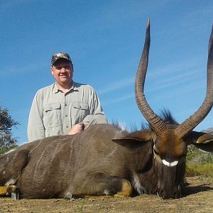 Nyala Hunt South Africa