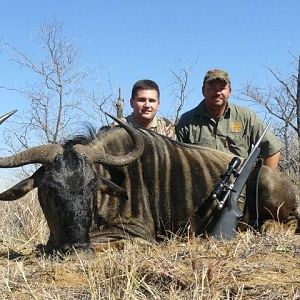 South Africa Blue Wildebeest Hunting