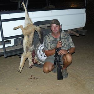 Jackal Culling & Varmint hunting South Africa