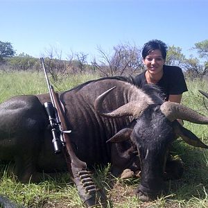 South Africa Blue Wildebeest Hunting