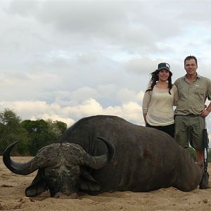 Hunt in South Africa Buffalo