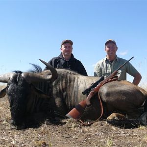 South Africa Blue Wildebeest Hunting