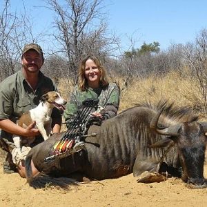 South Africa Blue Wildebeest Bow Hunting