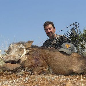 South Africa Warthog Bow Hunt