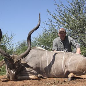 Greater Kudu