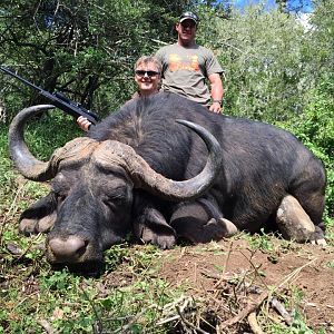 Hunting Cape Buffalo South Africa