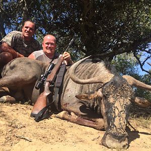 South Africa Blue Wildebeest Hunting