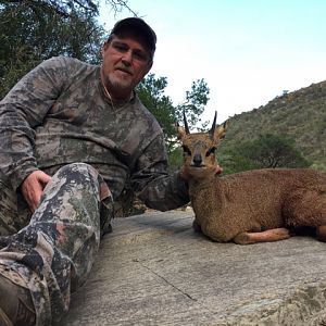 Klipspringer Hunt South Africa