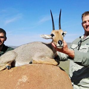 South Africa Grey Rhebok Hunt