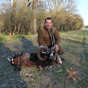 Mouflon Hunt