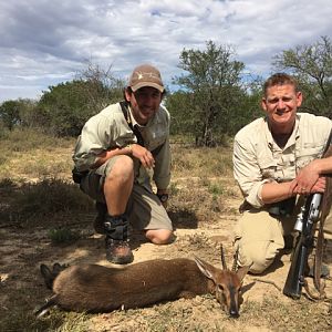 Duiker Hunting South Africa