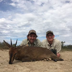 Duiker Hunting South Africa