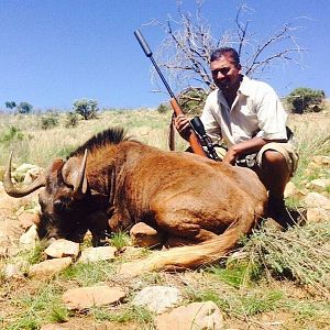 Hunt Black Wildebeest South Africa