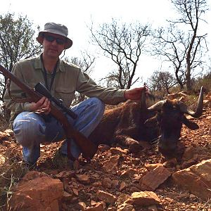 Hunt Black Wildebeest South Africa