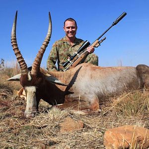 Hunting Blesbok South Africa