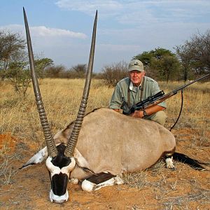 Gemsbok Bull