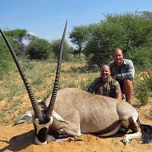 Gemsbok Bull