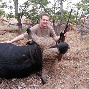 Hunting Cape Buffalo