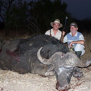 Hunting Cape Buffalo