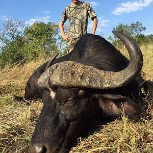 Hunting Cape Buffalo