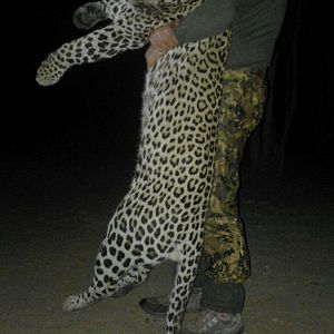 Leopard Hunt