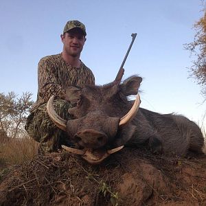 Warthog Hunt