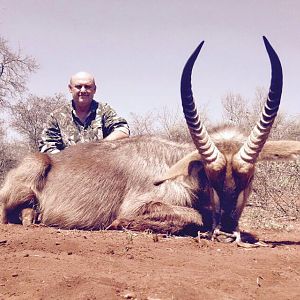 Hunting Waterbuck