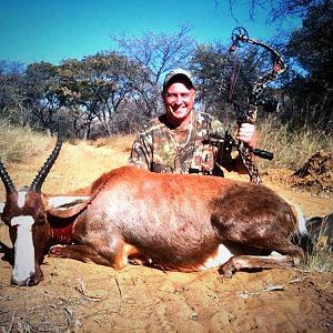 Bow Hunting Blesbok