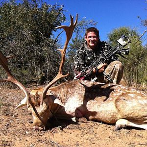 Bow Hunting Fallow Deer