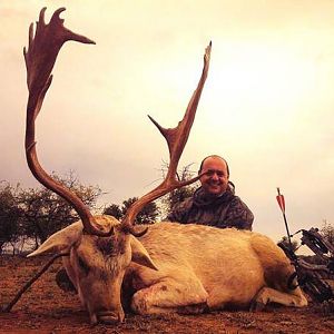 Bow Hunting Fallow Deer