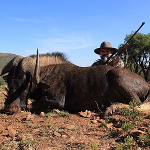 Hunt Black Wildebeest