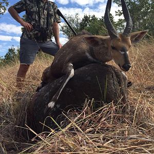 Bushbuck Hunting