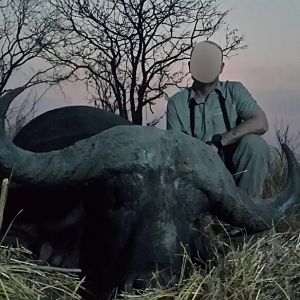 Hunting Buffalo