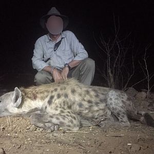 Spotted Hyena Hunt