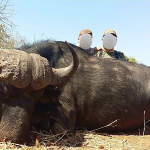 Hunting Cape Buffalo