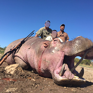 Hippo Hunt