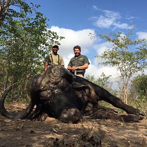 Hunting Cape Buffalo