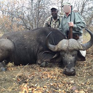 Cape Buffalo Hunt